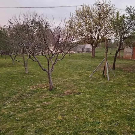 Kuca Za Odmor Apartment Smokovic